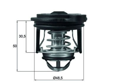 Thermostat, coolant MAHLE TI 246 50