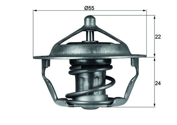 MAHLE TX 101 83D Thermostat, coolant