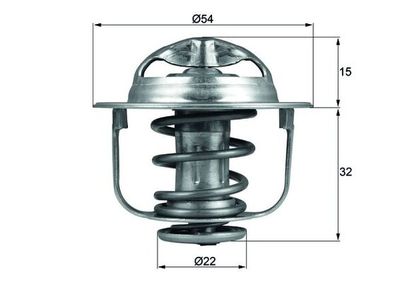 Thermostat, coolant MAHLE TX 120 89D