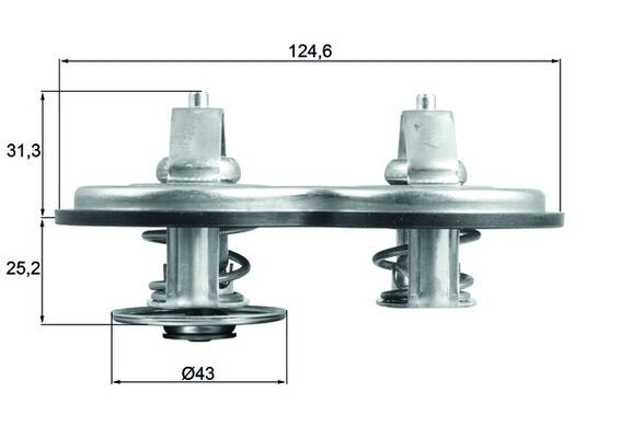 MAHLE TX 141 83 Thermostat, coolant
