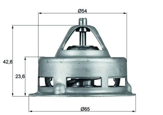 MAHLE TX 2 75 Thermostat, coolant