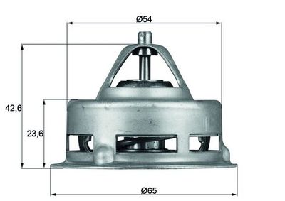 Thermostat, coolant MAHLE TX 2 79