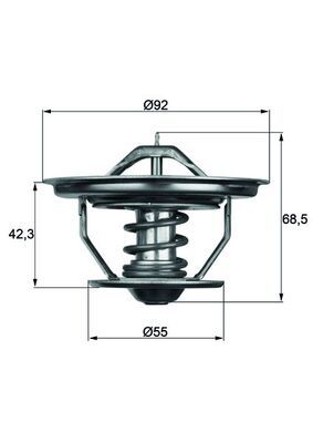 Thermostat, coolant MAHLE TX 35 75