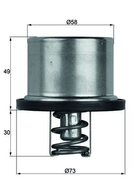 MAHLE TX 37 79 Thermostat, coolant