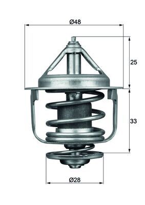 MAHLE TX 87 77D Thermostat, coolant