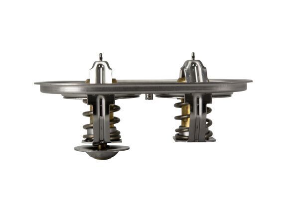 MAHLE TX 105 Thermostat, coolant