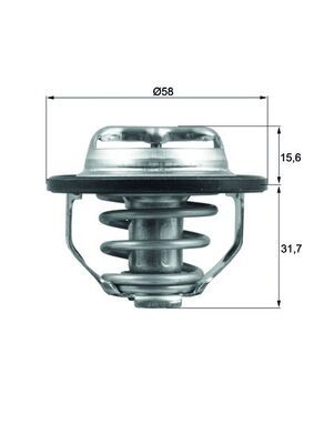 MAHLE TX 122 82 Thermostat, coolant