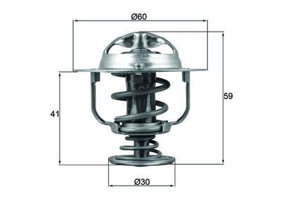 Thermostat, coolant MAHLE TX 177 82D