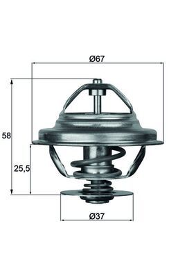 MAHLE TX 21 80D Thermostat, coolant