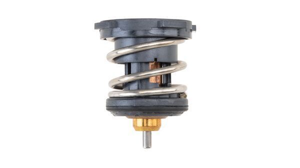 MAHLE TX 252 87 Thermostat, coolant