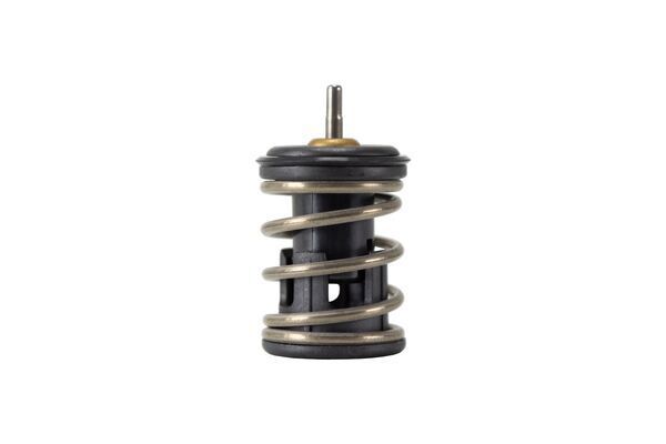 MAHLE TX 253 105D Thermostat, coolant