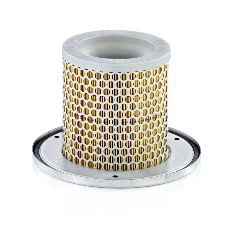 MANN-FILTER C 1342 KIT Secondary Air Filter