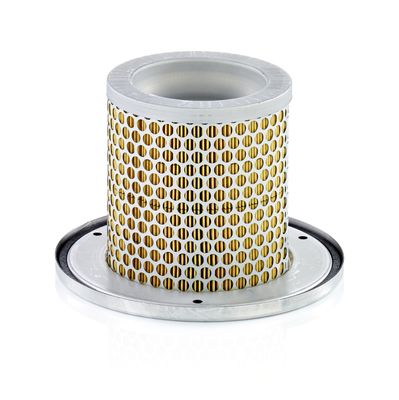 Secondary Air Filter MANN-FILTER C 1342 KIT
