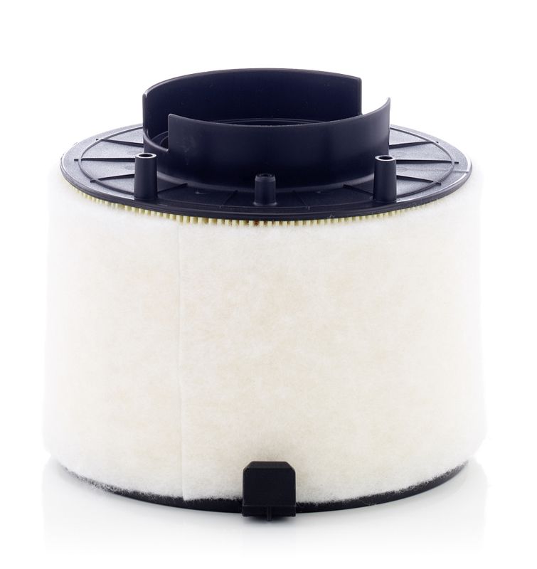 MANN-FILTER C 17 009 Air Filter