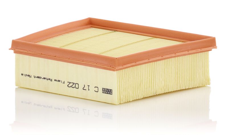 MANN-FILTER C 17 022 Air Filter