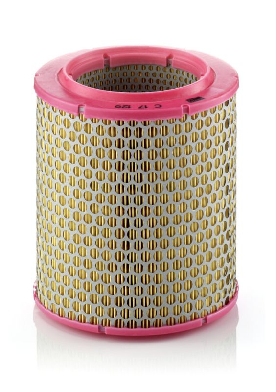MANN-FILTER C 17 129 Air Filter