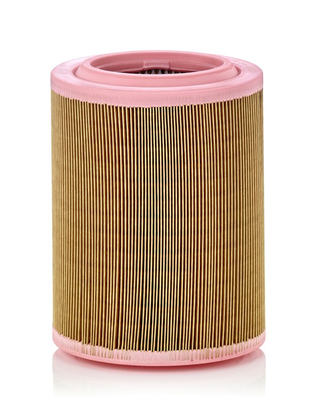 MANN-FILTER C 18 003 Air Filter