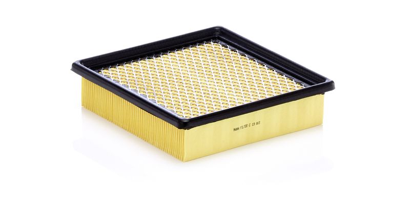 MANN-FILTER C 19 003 Air Filter