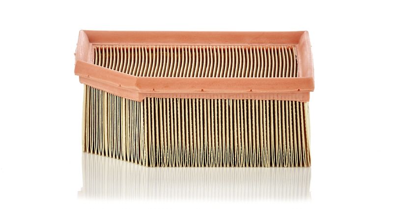 MANN-FILTER C 1995 Air Filter