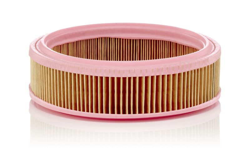 MANN-FILTER C 2021 Air Filter