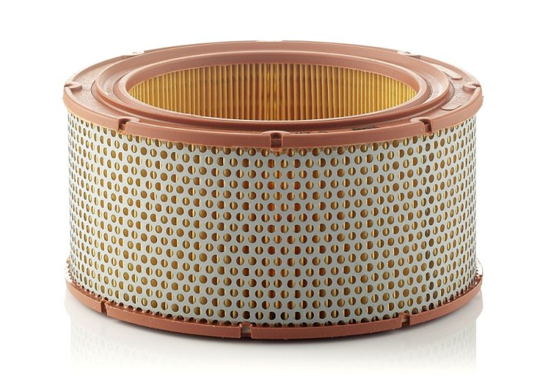 MANN-FILTER C 2170 Air Filter