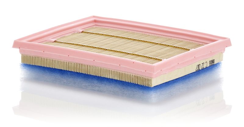 MANN-FILTER C 22 007 Air Filter