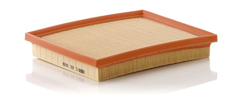 MANN-FILTER C 22 009 Air Filter