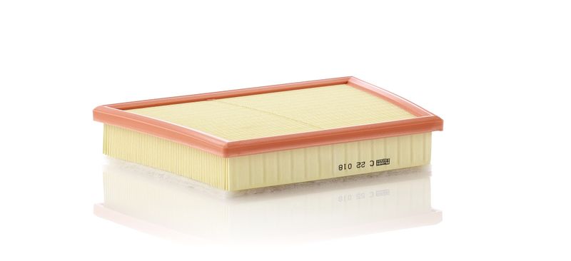 MANN-FILTER C 22 018 Air Filter