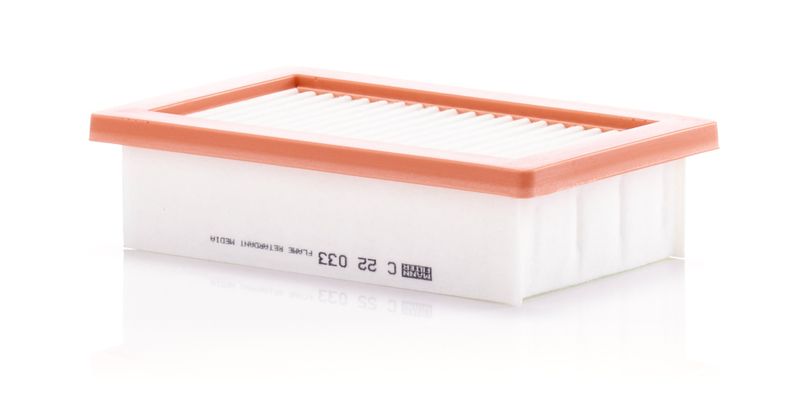 MANN-FILTER C 22 033 Air Filter