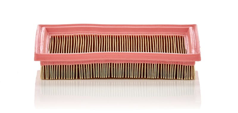 MANN-FILTER C 2244 Air Filter