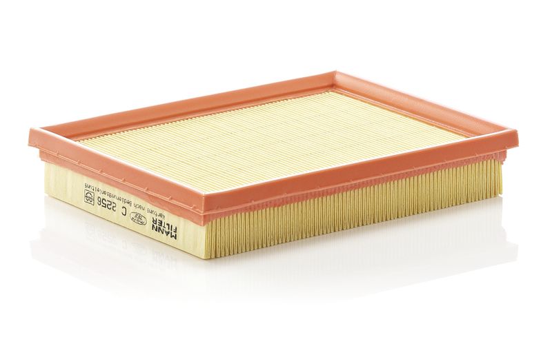 MANN-FILTER C 2256 Air Filter