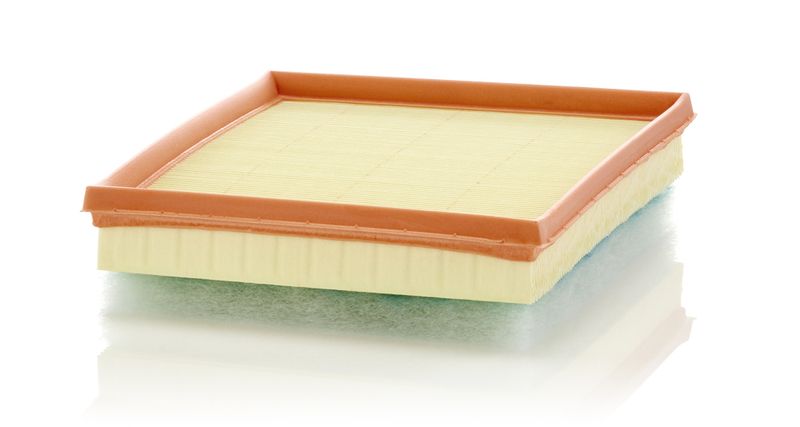 MANN-FILTER C 24 017 Air Filter