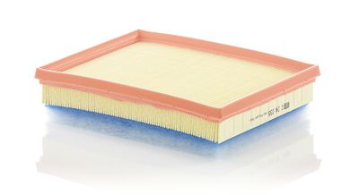 Air Filter MANN-FILTER C 24 036