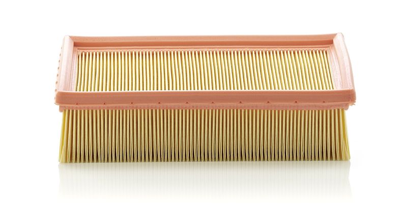 MANN-FILTER C 24 105 Air Filter
