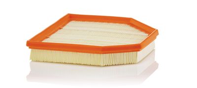 Air Filter MANN-FILTER C 24 242