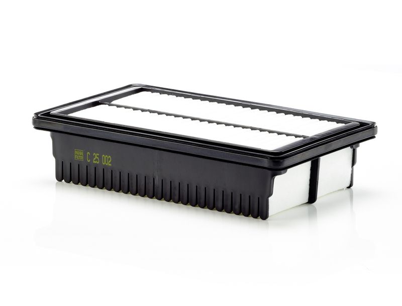 MANN-FILTER C 25 002 Air Filter
