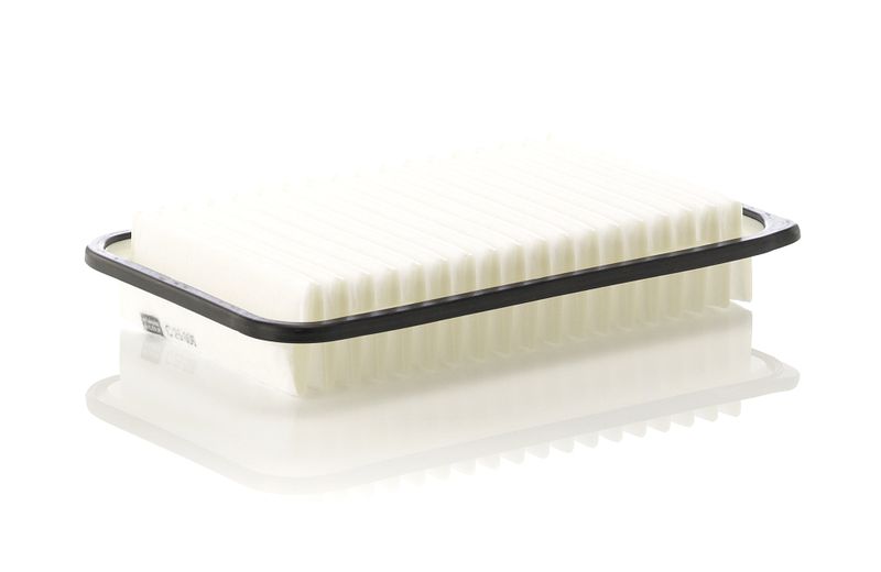 MANN-FILTER C 25 006 Air Filter
