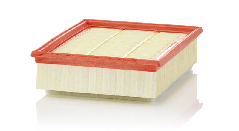 MANN-FILTER C 25 018 Air Filter