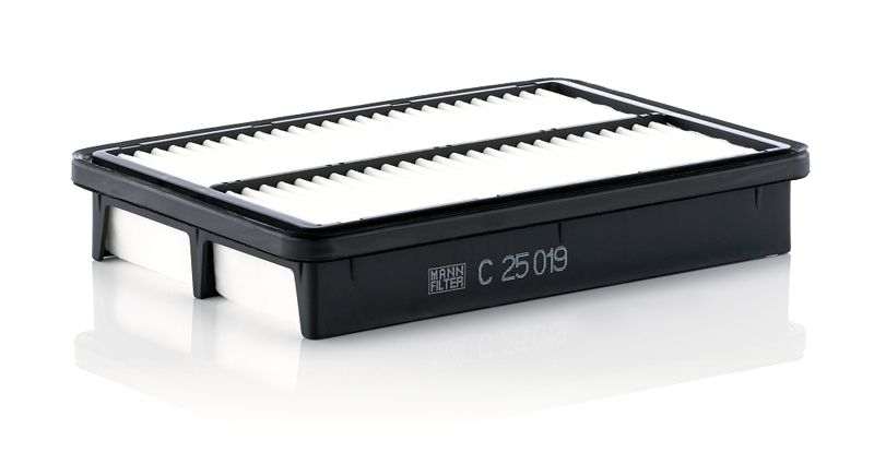 MANN-FILTER C 25 019 Air Filter