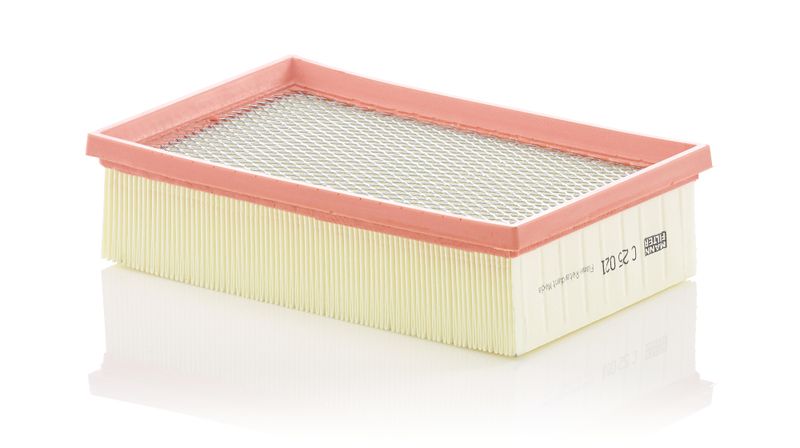 MANN-FILTER C 25 021 Air Filter