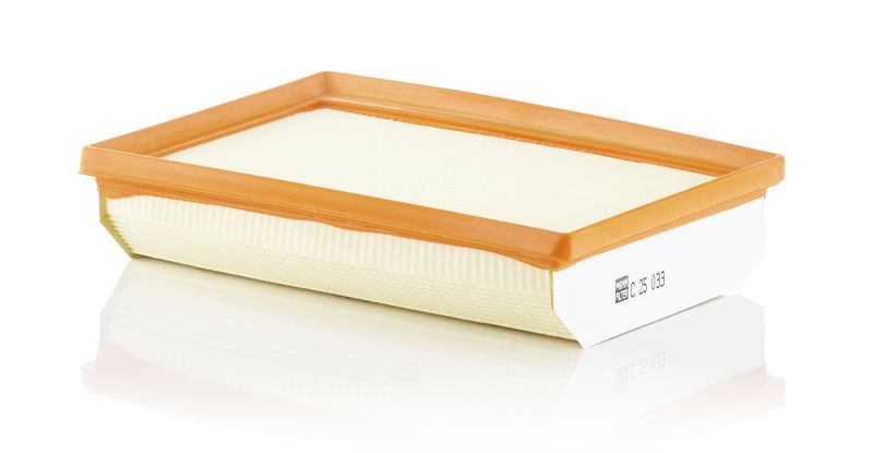MANN-FILTER C 25 033 Air Filter