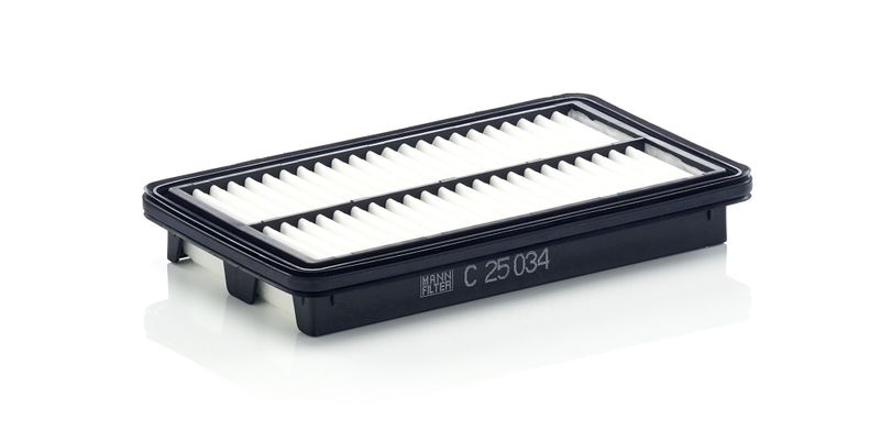 MANN-FILTER C 25 034 Air Filter