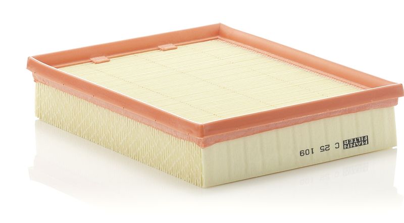MANN-FILTER C 25 109 Air Filter