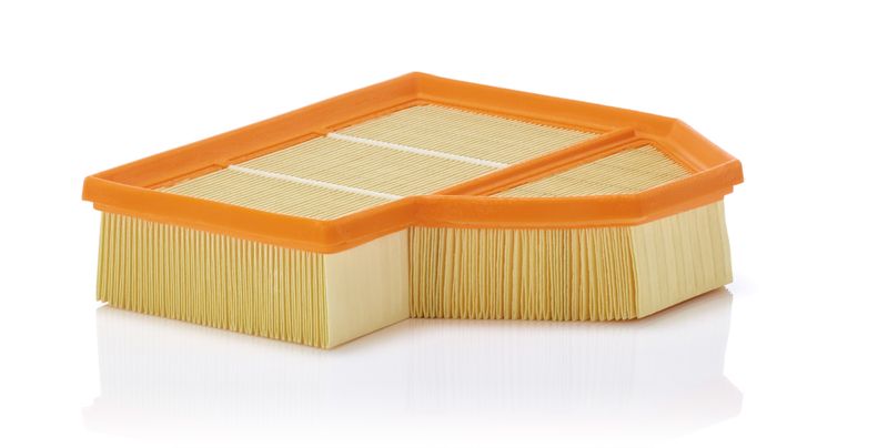 MANN-FILTER C 25 112 Air Filter