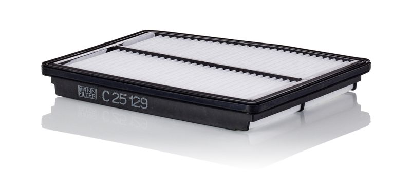 MANN-FILTER C 25 129 Air Filter