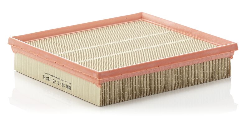 MANN-FILTER C 25 135 Air Filter