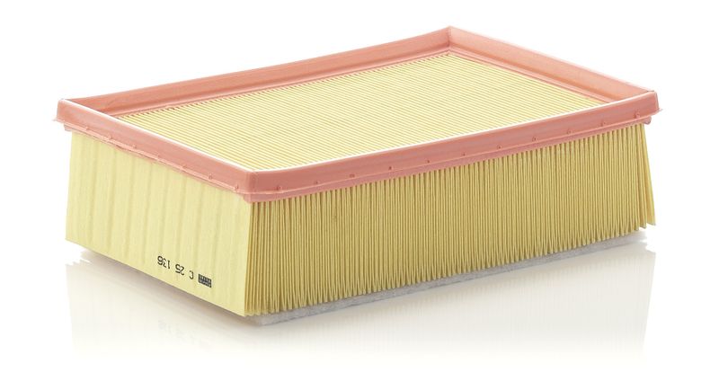 MANN-FILTER C 25 136 Air Filter