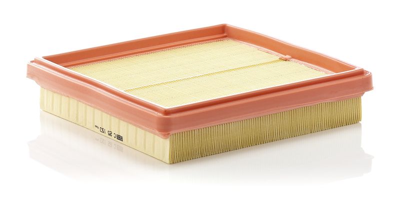 MANN-FILTER C 25 153 Air Filter