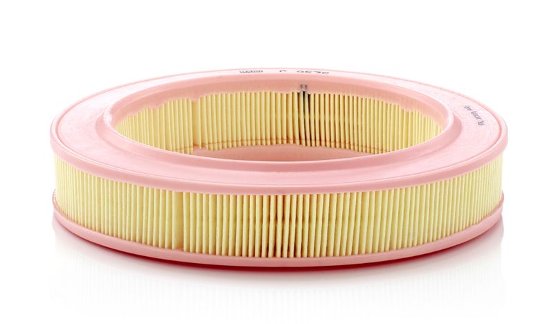 MANN-FILTER C 2536 Air Filter