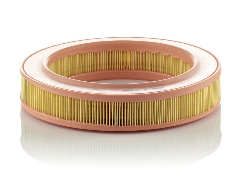 MANN-FILTER C 2540 Air Filter